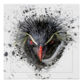 Poster Pingouin (Devant)