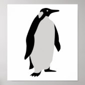 Poster Pingouin (Devant)