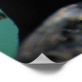 Poster Pingouin africain (Coin)