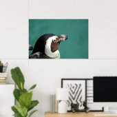 Poster Pingouin africain (Bureau à domicile)