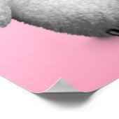 Poster Pingouin bébé mignon sur rose (Coin)