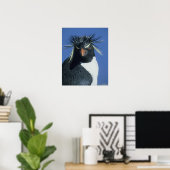 Poster Pingouin de Rockhopper (Eudyptes chrysocome) (Bureau à domicile)