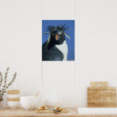 Poster Pingouin de Rockhopper (Eudyptes chrysocome) (Cuisine)