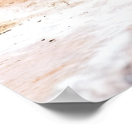 Poster Pingouin des Galapagos (Coin)