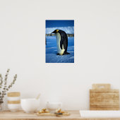Poster Pingouin empereur au clair de lune (Cuisine)