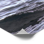 Poster Pingouin Gentoo Sautant Dans L'Eau (Coin)