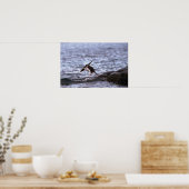 Poster Pingouin Gentoo Sautant Dans L'Eau (Cuisine)