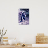 Poster Pingouin magélique dans la péninsule Valdes - Arge (Cuisine)