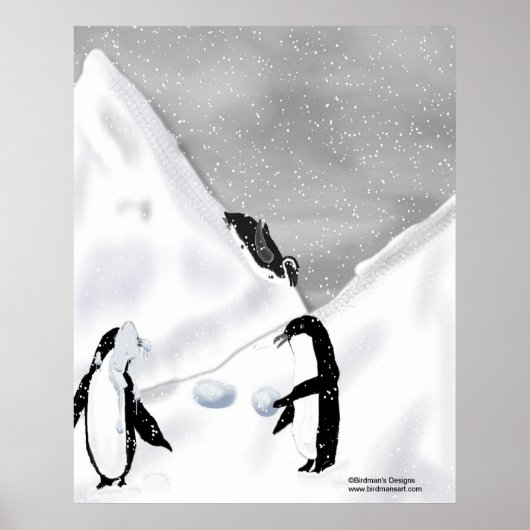 Poster Pingouin Snowball combat Imprimer (Devant)