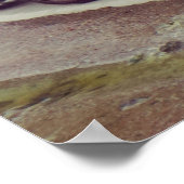 Poster Pingouins (Coin)