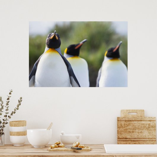 Poster Pingouins (Cuisine)