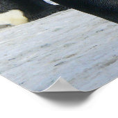 Poster Pingouins (Coin)