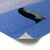 Poster Pingouins (Coin)