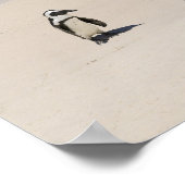 Poster Pingouins à Boulders Beach, Simons Town, Sud 2 (Coin)