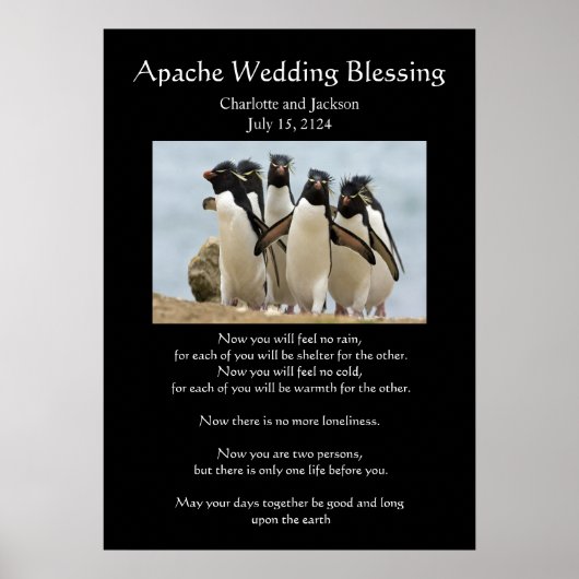 Poster Pingouins Bénédiction Mariage Apache (Devant)