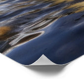 Poster Pingouins cool (Coin)