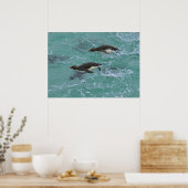Poster Pingouins de narines Natation (Cuisine)