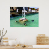 Poster Pingouins Humboldt et fontaines (Cuisine)