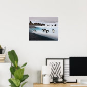 Poster pingouins, Pygoscelis antarctica, 2 (Bureau à domicile)
