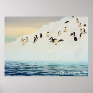 Poster Pingouins sur la glace, copie
