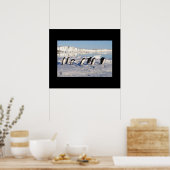 Poster pinguïns (Keuken)