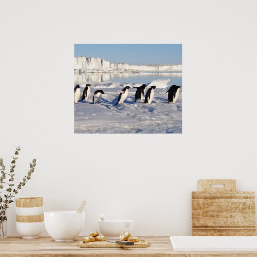 Poster pinguïns (Keuken)