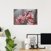 Poster Pink Against A Gray Sky Japanese Cherry Blossoms (Bureau à domicile)