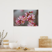 Poster Pink Against A Gray Sky Japanese Cherry Blossoms (Cuisine)