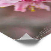 Poster Pink Against A Gray Sky Japanese Cherry Blossoms (Coin)
