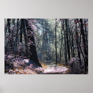 Poster Pink and Green Ice Forest Hot Springs Mt Trail