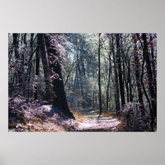 Poster Pink and Green Ice Forest Hot Springs Mt Trail (Devant)