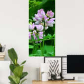 Poster Pink and White Flower Buds (Bureau à domicile)