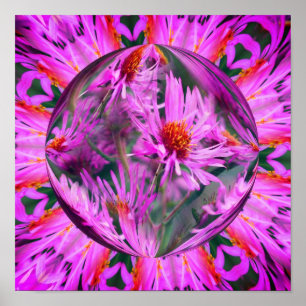 Poster Pink Aster Flower Energies Art Abstrait