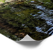 Poster Pink Cherry Blossoms Alongside Pond (Coin)