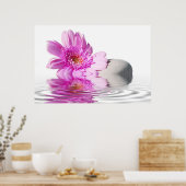 Poster Pink daisie (Cuisine)