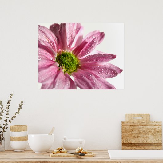 Poster Pink Daisy (Cuisine)