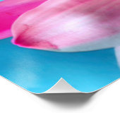 Poster Pink Daisy Flower Bloom (Coin)
