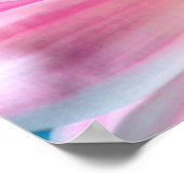 Poster Pink Daisy Flower Bloom (Coin)