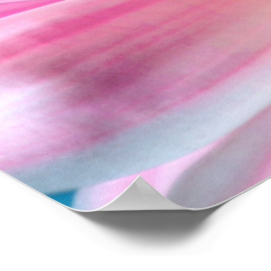 Poster Pink Daisy Flower Bloom (Coin)