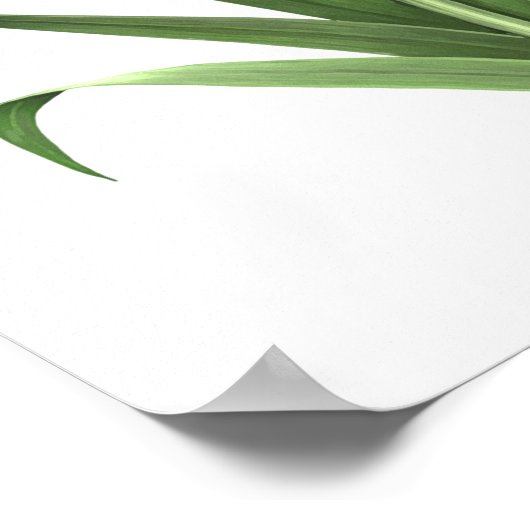 Poster Pink Daylied Original Art Print (Coin)