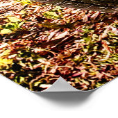 Poster Pink Deux Chevaux, voiture vintage. (Coin)