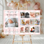 Poster Pink En vichy premier anniversaire de la photo Jal<br><div class="desc">Célébrez les 12 premiers mois de votre petit avec ce premier anniversaire un an de signature de photos marquantes. Customisez le panneau avec vos images mensuelles et les faits amusants du bébé. Pour ajouter du texte à la conception, il suffit de cliquer sur le bouton "Customiser" ci-dessus pour obtenir des...</div>