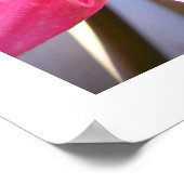 Poster Pink February (Coin)