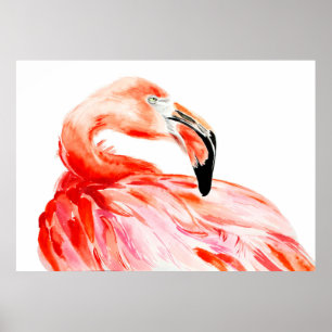 Poster Pink Flamingo bird profile portrait, amazing beaut