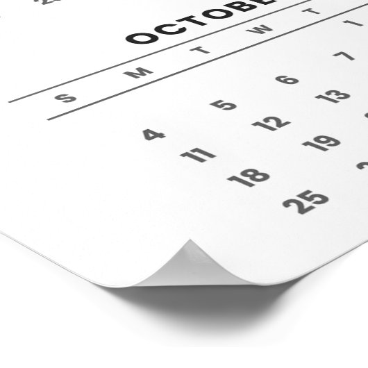 Poster Pink Flamingos in Paradise: 2026 Wall Calendar (Coin)