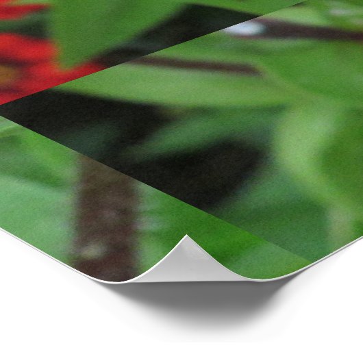 Poster Pink flowering (Coin)