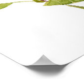 Poster pink hibiscus moscheutos, swamp rose mallow (Coin)