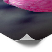 Poster Pink Lady Slipper Orchid Raindrop (Coin)