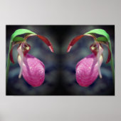 Poster Pink Lady Slipper Orchidée miroir de fleurs Abstra (Devant)