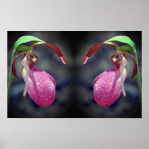 Poster Pink Lady Slipper Orchidée miroir de fleurs Abstra